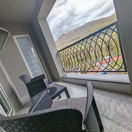 Nermin ترافنيك