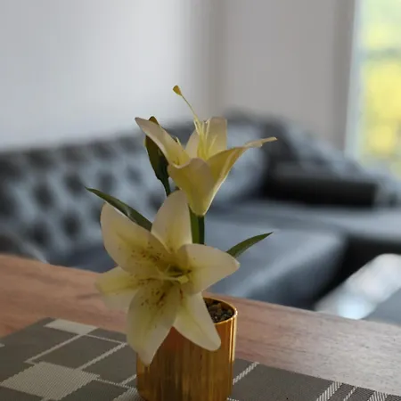 Nermin Apartment