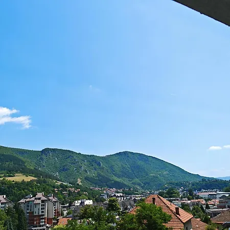 Nermin ترافنيك